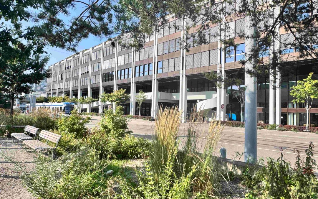 KV Zürich, Erneuerungsprojekte