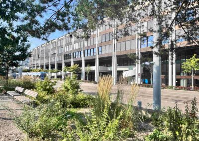 KV Zürich, Erneuerungsprojekte